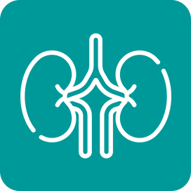 spine surgery- aarka hospitals kurnool Kidney care- aarka hospitals